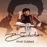 Mr. Bachchan (2024)