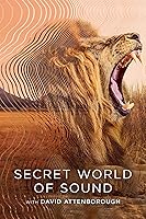 Watch Secret World of Sound with David Attenborough (2024) Online Full Movie Free