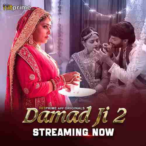 Watch Damad Ji HitPrime  (2024) Online Full Movie Free